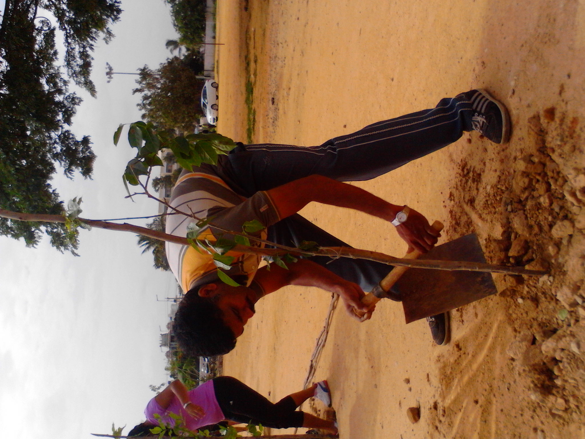 2013_jun_bagur_school_village_cherries